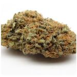 Шишки AK47  (Гидропоника, Бошка) VHQ в Кизляре